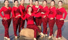 春英广场舞大全视频,舞动健康，乐享生活